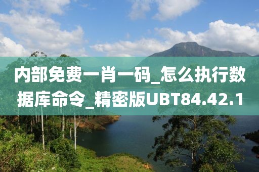 内部免费一肖一码_怎么执行数据库命令_精密版UBT84.42.1