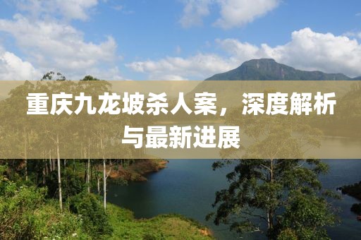 重庆九龙坡杀人案，深度解析与最新进展