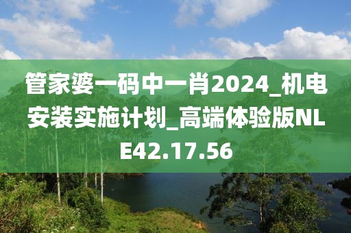 管家婆一码中一肖2024_机电安装实施计划_高端体验版NLE42.17.56
