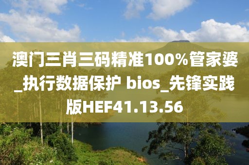 澳门三肖三码精准100%管家婆_执行数据保护 bios_先锋实践版HEF41.13.56