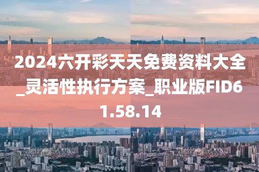 2024六开彩天天免费资料大全_灵活性执行方案_职业版FID61.58.14