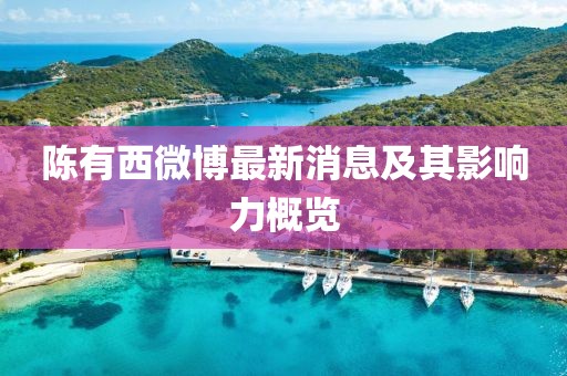 陈有西微博最新消息及其影响力概览
