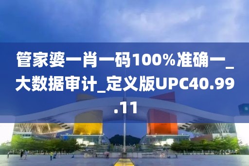 管家婆一肖一码100%准确一_大数据审计_定义版UPC40.99.11