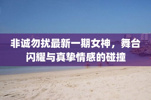 非诚勿扰最新一期女神，舞台闪耀与真挚情感的碰撞