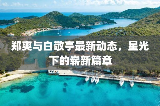 郑爽与白敬亭最新动态，星光下的崭新篇章
