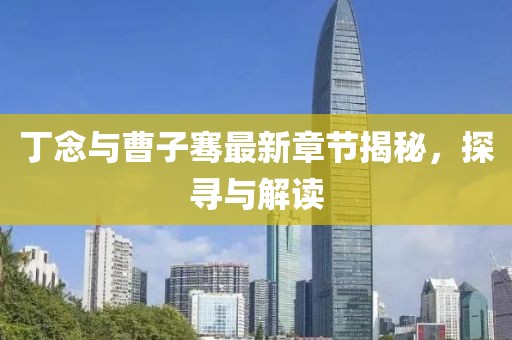 丁念与曹子骞最新章节揭秘，探寻与解读