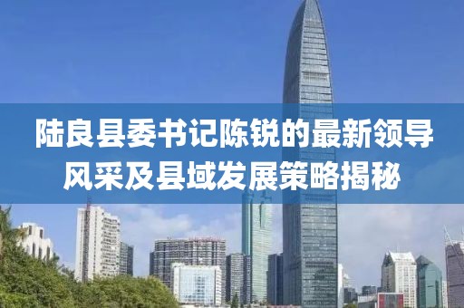 陆良县委书记陈锐的最新领导风采及县域发展策略揭秘