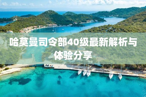 哈莫曼司令部40级最新解析与体验分享
