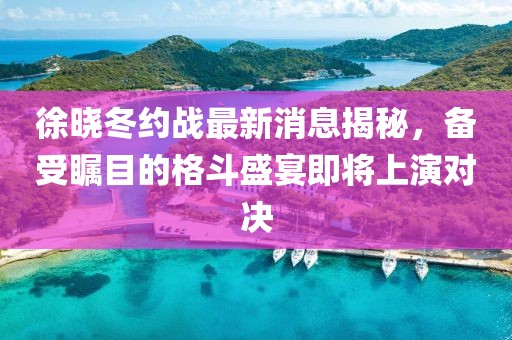 徐晓冬约战最新消息揭秘，备受瞩目的格斗盛宴即将上演对决
