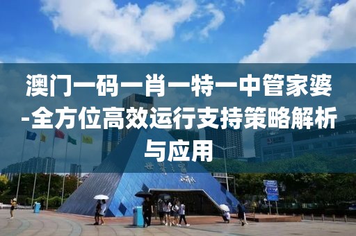 澳门一码一肖一特一中管家婆-全方位高效运行支持策略解析与应用