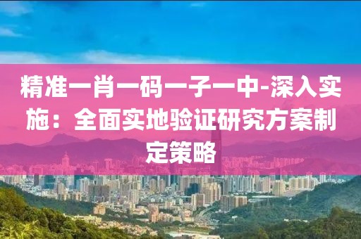 精准一肖一码一子一中-深入实施：全面实地验证研究方案制定策略