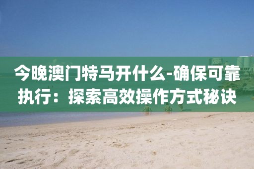 今晚澳门特马开什么-确保可靠执行：探索高效操作方式秘诀