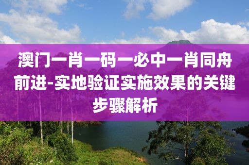 澳门一肖一码一必中一肖同舟前进-实地验证实施效果的关键步骤解析