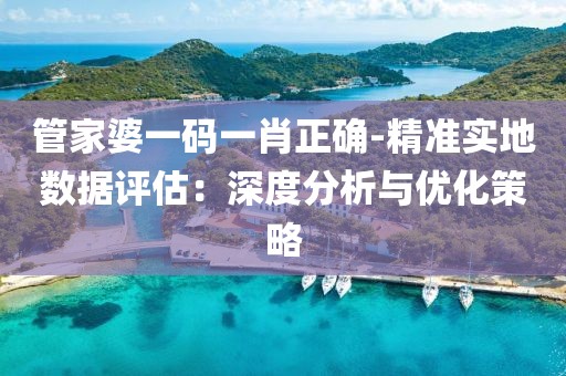 管家婆一码一肖正确-精准实地数据评估：深度分析与优化策略