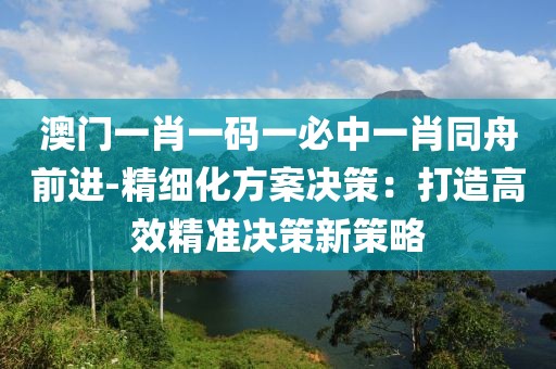 澳门一肖一码一必中一肖同舟前进-精细化方案决策：打造高效精准决策新策略