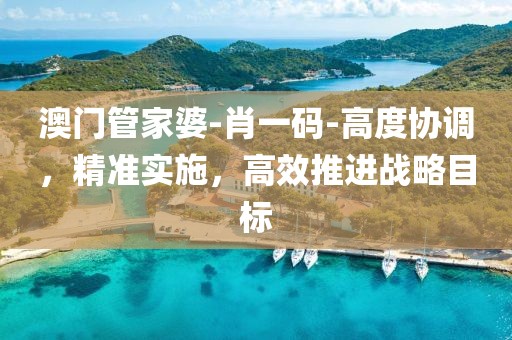 澳门管家婆-肖一码-高度协调，精准实施，高效推进战略目标