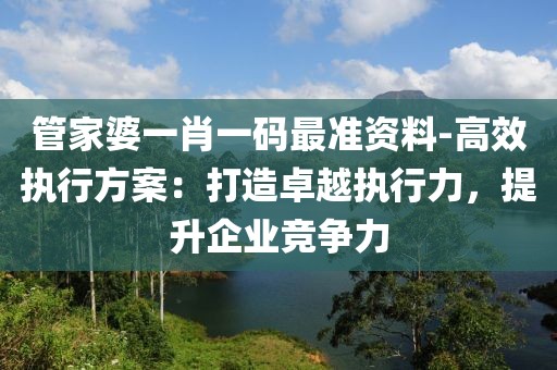 管家婆一肖一码最准资料-高效执行方案：打造卓越执行力，提升企业竞争力