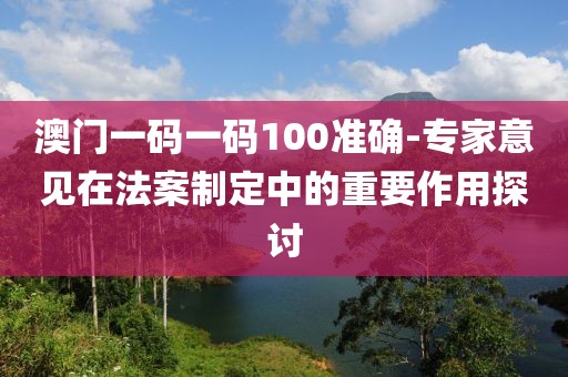 澳门一码一码100准确-专家意见在法案制定中的重要作用探讨