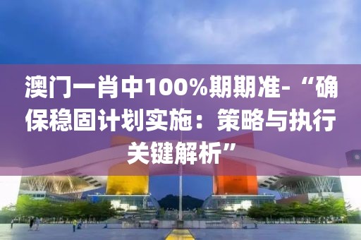 澳门一肖中100%期期准-“确保稳固计划实施：策略与执行关键解析”