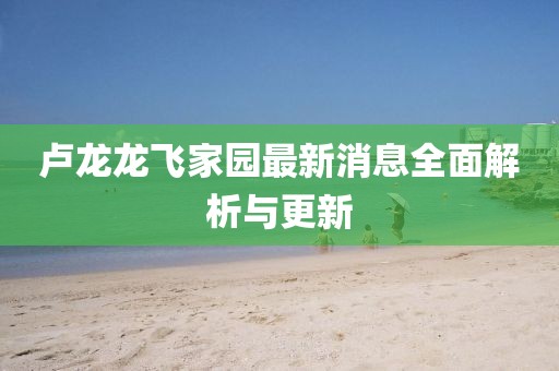 卢龙龙飞家园最新消息全面解析与更新