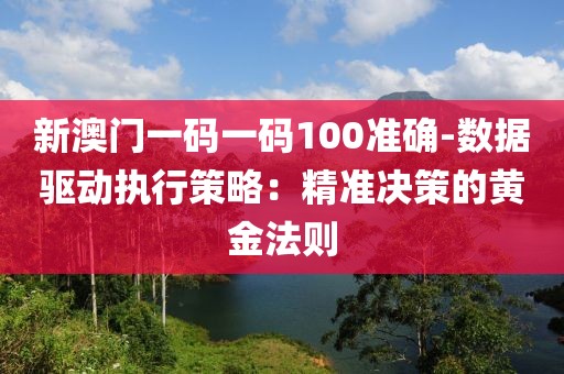 新澳门一码一码100准确-数据驱动执行策略：精准决策的黄金法则