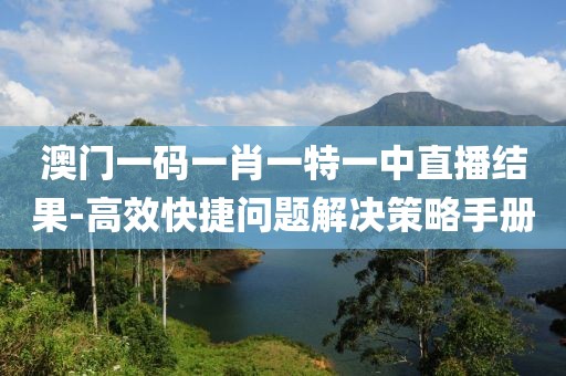 澳门一码一肖一特一中直播结果-高效快捷问题解决策略手册