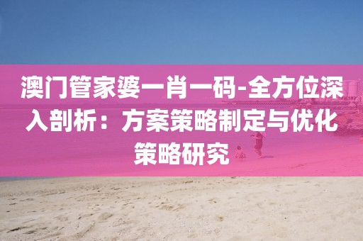 澳门管家婆一肖一码-全方位深入剖析：方案策略制定与优化策略研究