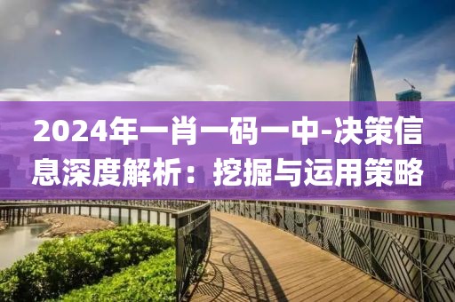 2024年一肖一码一中-决策信息深度解析：挖掘与运用策略