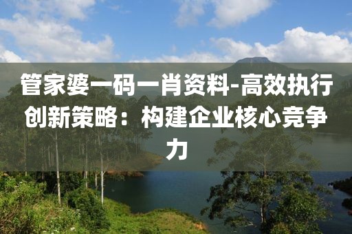 管家婆一码一肖资料-高效执行创新策略：构建企业核心竞争力