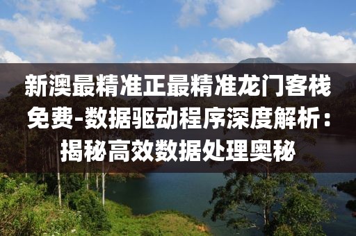 新澳最精准正最精准龙门客栈免费-数据驱动程序深度解析：揭秘高效数据处理奥秘