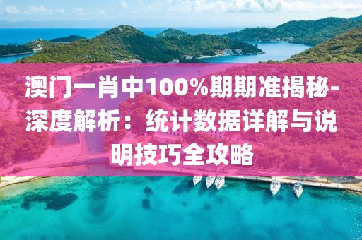 澳门一肖中100%期期准揭秘-深度解析：统计数据详解与说明技巧全攻略