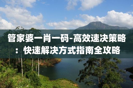 管家婆一肖一码-高效速决策略：快速解决方式指南全攻略
