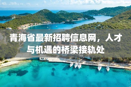 青海省最新招聘信息网，人才与机遇的桥梁接轨处