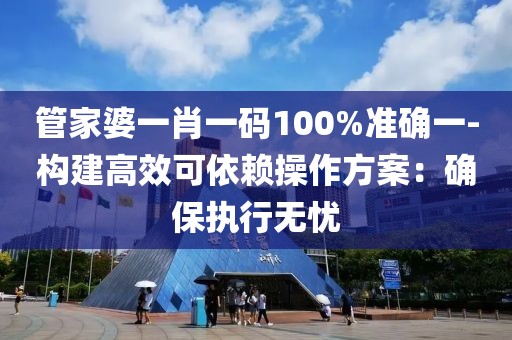 管家婆一肖一码100%准确一-构建高效可依赖操作方案：确保执行无忧