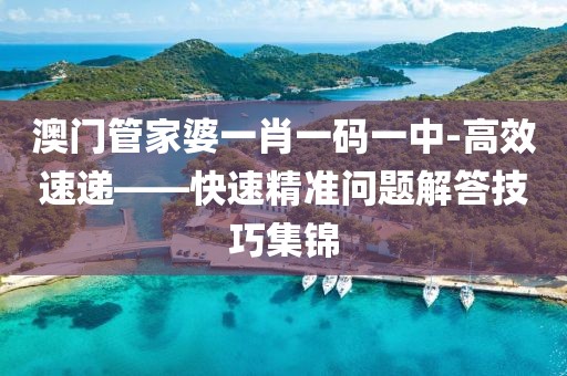 澳门管家婆一肖一码一中-高效速递——快速精准问题解答技巧集锦