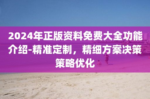 2024年正版资料免费大全功能介绍-精准定制，精细方案决策策略优化