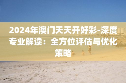 2024年澳门天天开好彩-深度专业解读：全方位评估与优化策略