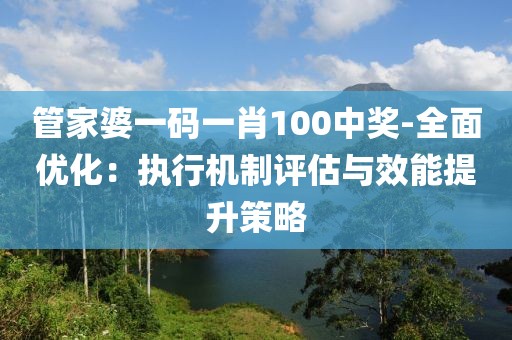 管家婆一码一肖100中奖-全面优化：执行机制评估与效能提升策略