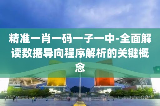精准一肖一码一子一中-全面解读数据导向程序解析的关键概念