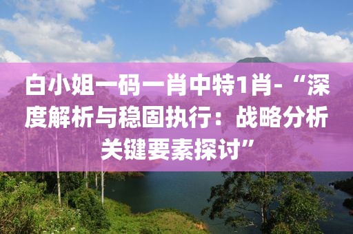 白小姐一码一肖中特1肖-“深度解析与稳固执行：战略分析关键要素探讨”