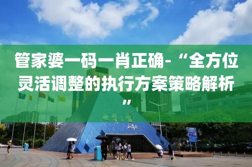 管家婆一码一肖正确-“全方位灵活调整的执行方案策略解析”