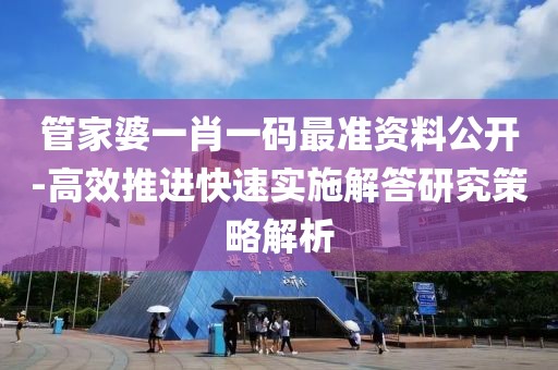 管家婆一肖一码最准资料公开-高效推进快速实施解答研究策略解析