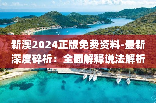 新澳2024正版免费资料-最新深度碎析：全面解释说法解析