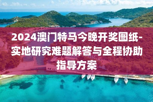 2024澳门特马今晚开奖图纸-实地研究难题解答与全程协助指导方案