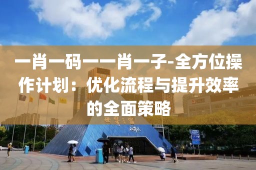 一肖一码一一肖一子-全方位操作计划：优化流程与提升效率的全面策略