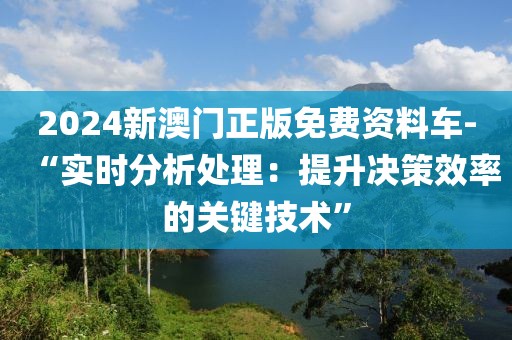 2024新澳门正版免费资料车-“实时分析处理：提升决策效率的关键技术”