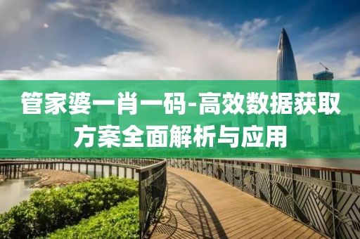 管家婆一肖一码-高效数据获取方案全面解析与应用