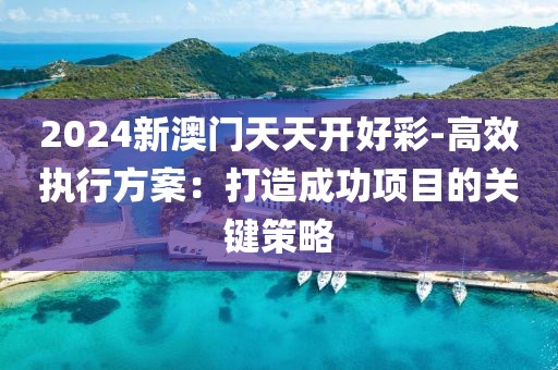 2024新澳门天天开好彩-高效执行方案：打造成功项目的关键策略