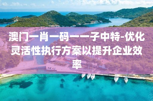澳门一肖一码一一子中特-优化灵活性执行方案以提升企业效率