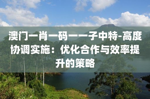 澳门一肖一码一一子中特-高度协调实施：优化合作与效率提升的策略